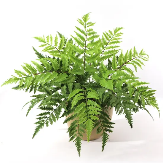 6-Pack: UV Boston Fern Plant with 7 Sprays, 28" Wide, Floral Home by Artificial Flowers {2}