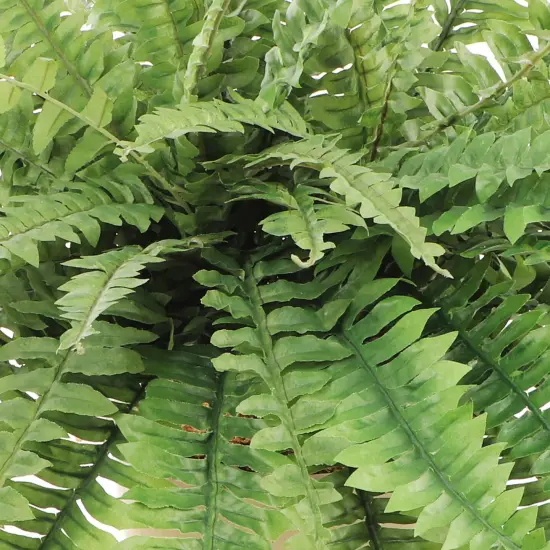 6-Pack: Boston Fern Plant with 50 Silk Fronds, 34" Wide, Floral Home by Artificial Flowers {3}