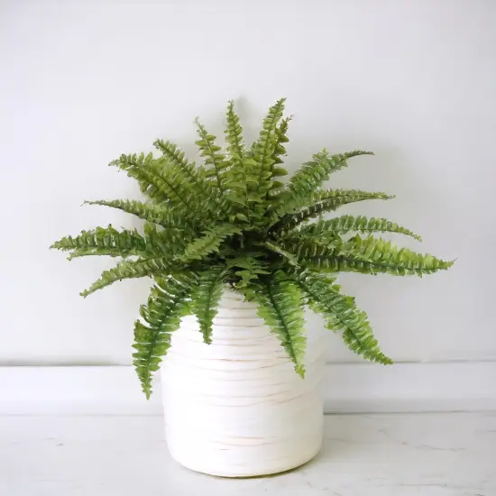 12-Pack: UV Boston Fern Plant with 27 Silk Fronds, 28" Wide by Floral Home&reg; {2}