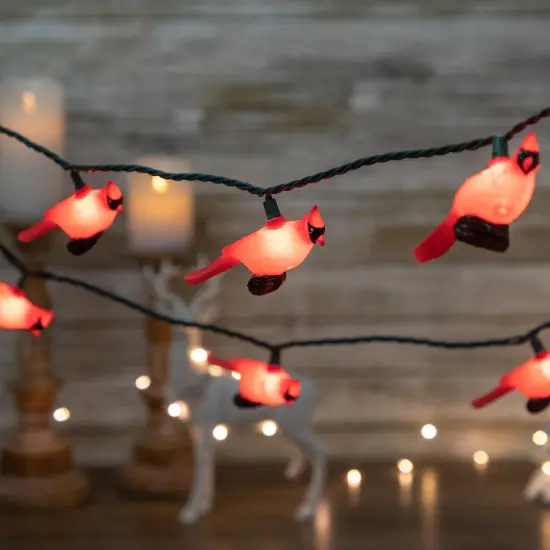 Northlight Cardinal Indoor Outdoor Patio Light Set - 6' Green Wire - 10ct Red {1}