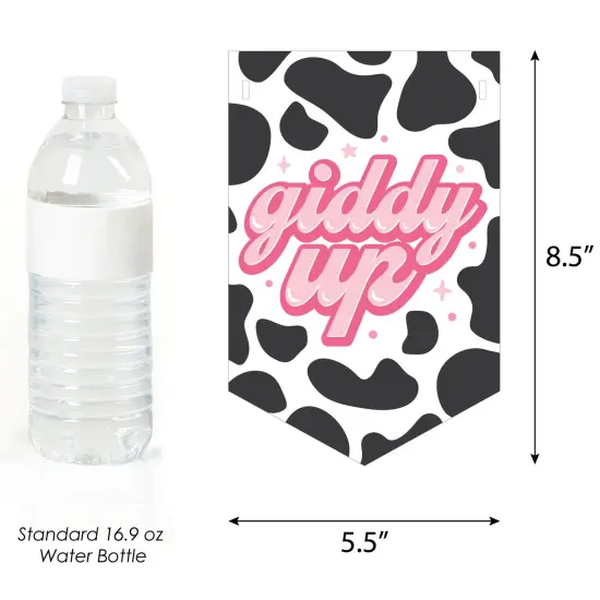 Big Dot of Happiness Rodeo Cowgirl - Pink Western Birthday Party Bunting Banner - Party Decorations - Happy Birthday {3}