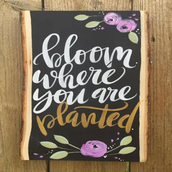 Wilson Basswood Plank Packs Standard Grade {6}