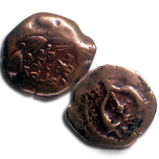 Widow's Mite Coin {2}