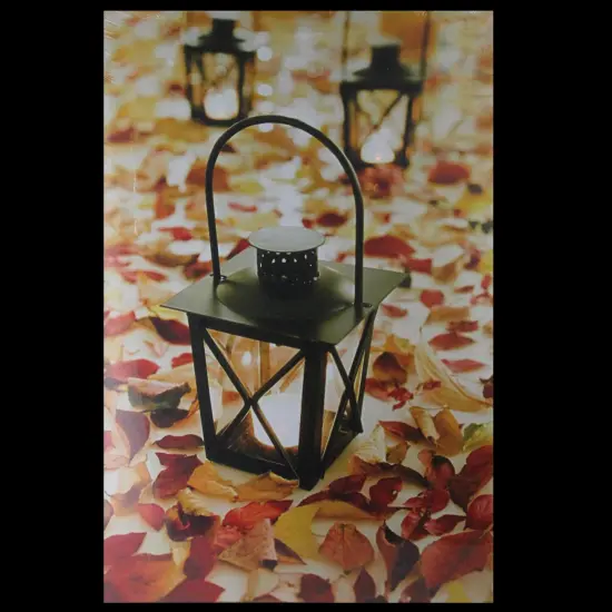 Northlight LED Lighted Fall Foliage and Lanterns Canvas Wall Art 23.5" x 15.5" Black {4}