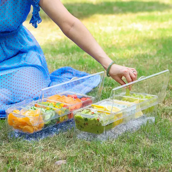 Condiment Server, Tray, ice Party Serving bar, Chilled Caddy, bar Garnish Holder on ice, Dispenser, Salad Platter, Compartment Tray with lid {3}
