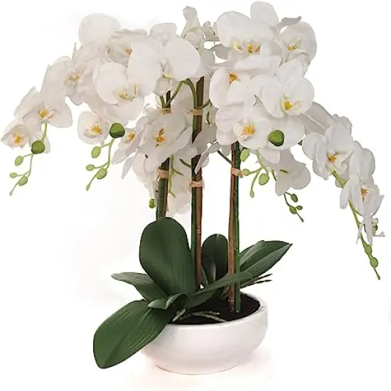 19-Inch Phalaenopsis Orchid Arrangement in Elegant Floral D&eacute;cor for Home and Office, Floral Home by Artificial Flowers {1}