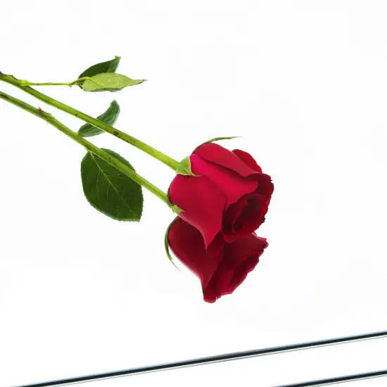 4 Pieces Full Length Wall Mirror Tiles, 12" x 12" Frameless Wall Mounted Mirror Glass Wall Mirror for Home Gym, Door, Bedroom, Living Room {5}