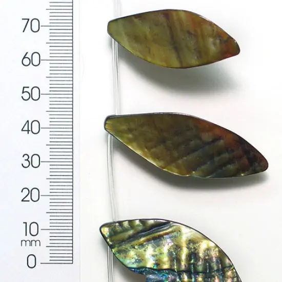 6 Packs of Tinted Shell Leaf Olive 2x8" Strand {1}