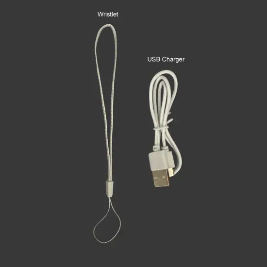 Wrapables Mini Portable Handheld and Desktop Rechargeable USB Fan, Beige Bear {3}