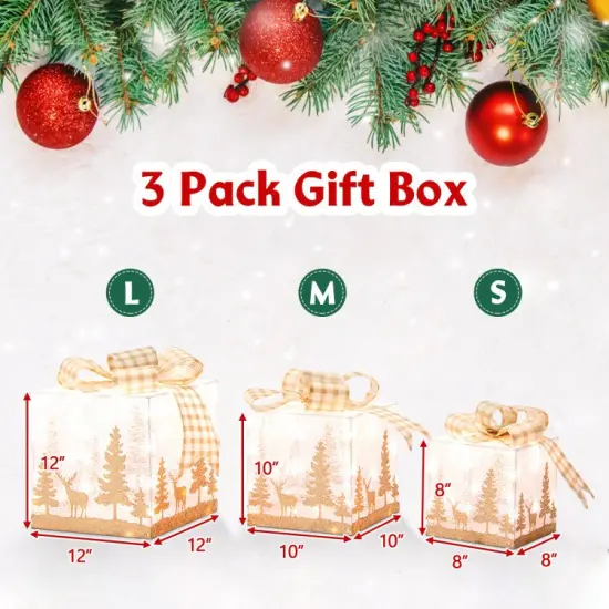 Set of 3 Lighted Christmas Gift Box with 100 Warm White Lights {5}