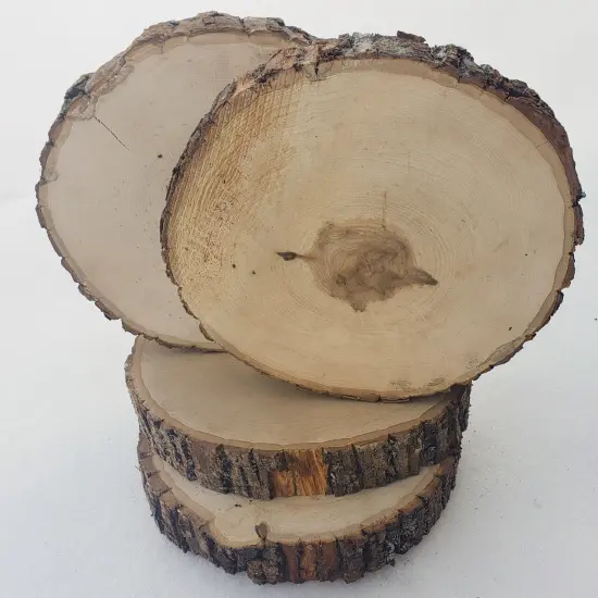 Wilson D&eacute;cor Large Wood Thick Round Extra Value Pack 14pk {5}