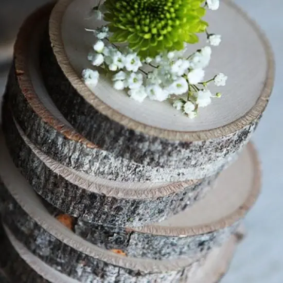 Basswood Coasters (Set of 8) {2}