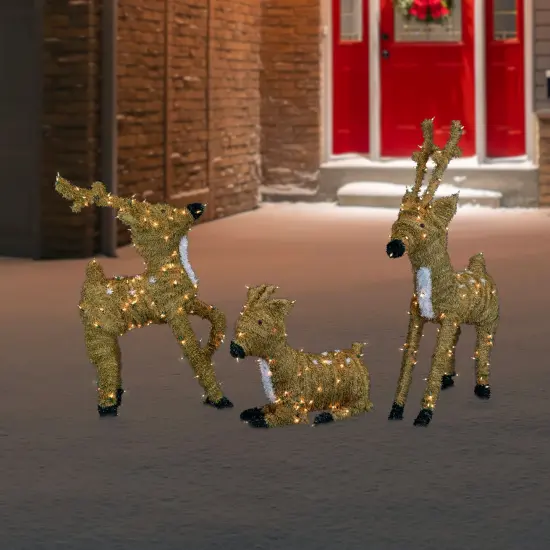 Northlight Pre-Lit Prancing Reindeer with Spots Outdoor Christmas Decoration - Brown {3}