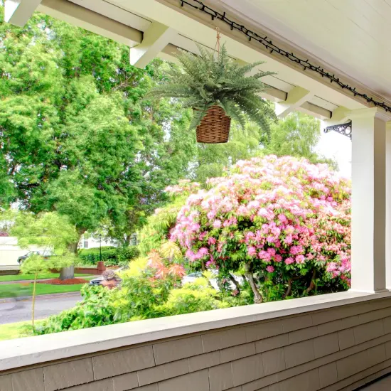 6-Pack: Boston Fern Plant with 35 Silk Fronds, 34" Wide, Floral Home by Artificial Flowers {4}