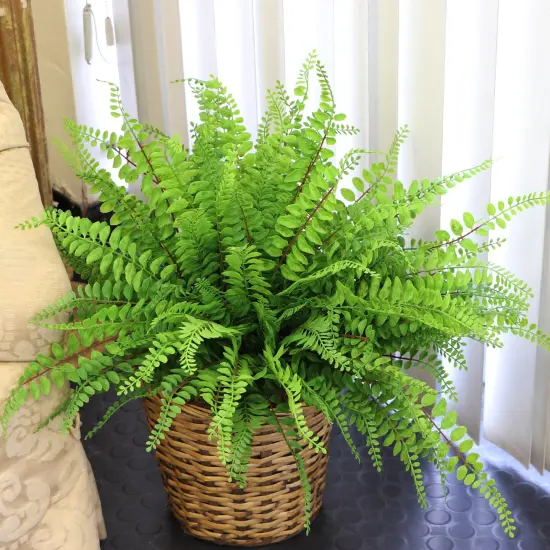 12-Pack: 18" Realistic Buckler Fern Bush with 7 Sprays {5}