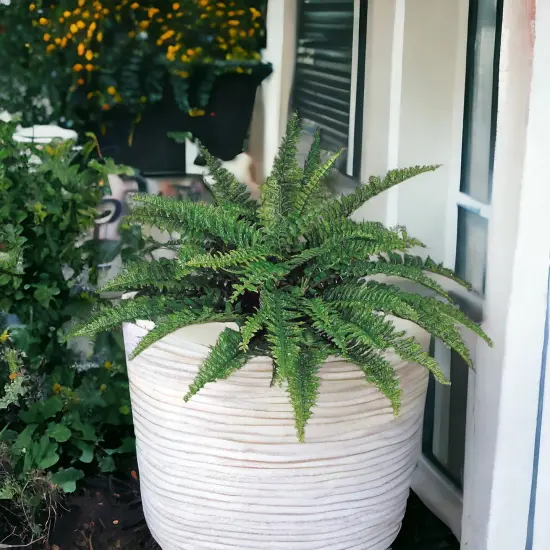 6-Pack: Boston Fern Plant with 50 Silk Fronds, 34" Wide, Floral Home by Artificial Flowers {2}