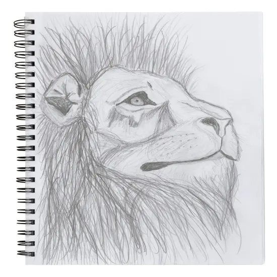 75 Sheets Poly Cover Sketch Book, Heavyweight, 9" x 12", Black {4}