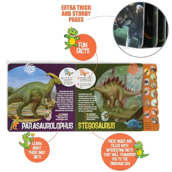 Dinosaurs And Their Habits 12-Button Cognitive Sound Book {3}