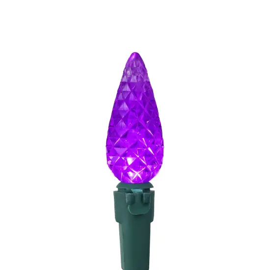 Northlight LED Faceted C6 Christmas Lights - Purple - 23' Green Wire - 70ct {5}