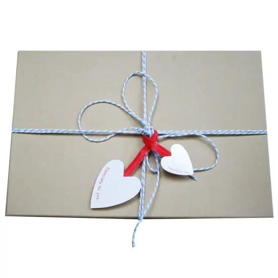 Wrapables Set of 50 Heart Twist Ties with 20 Scalloped Gift Tags {4}