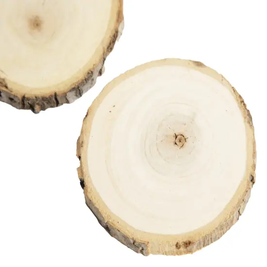 CousinDIY Rustic Wood Rounds 2/Pkg-Natural 3-3.5" {6}