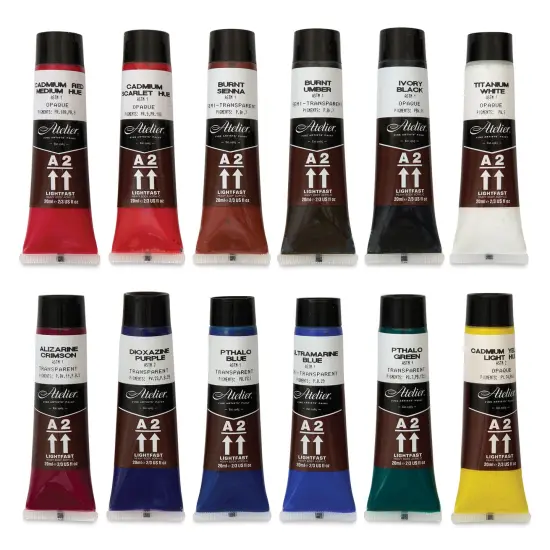 Chroma Atelier A2 Lightfast Heavy Body Acrylic Paints - Set of 12, Assorted Colors, 20 ml Tubes {1}