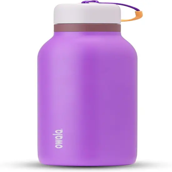 Freesip Twist Insulated Stainless Steel Water Bottle with Straw for Sports and Travel, Bpa-Free, 24-Oz, Pink/Purple (Dreamy Field) California Grapevine {1}