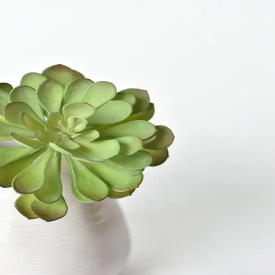 6" Faux Soft Aeonium Succulent Pick {5}