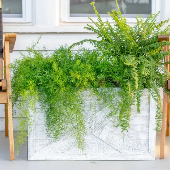 Farmhouse Deluxe 22.5 x 14.5, 30 in. Diameter, Decorative Planter Box Collar White {3}