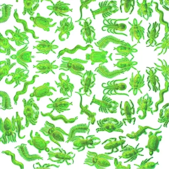 Rhode Island Novelty Glow in The Dark Ctter Assortment - 144 per Unit {4}