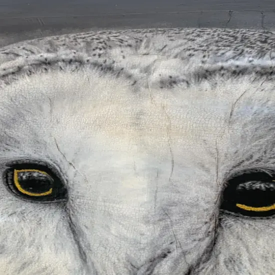 Snowy Barn Owl -Decoupage & Mixed Media Art Paper {3}