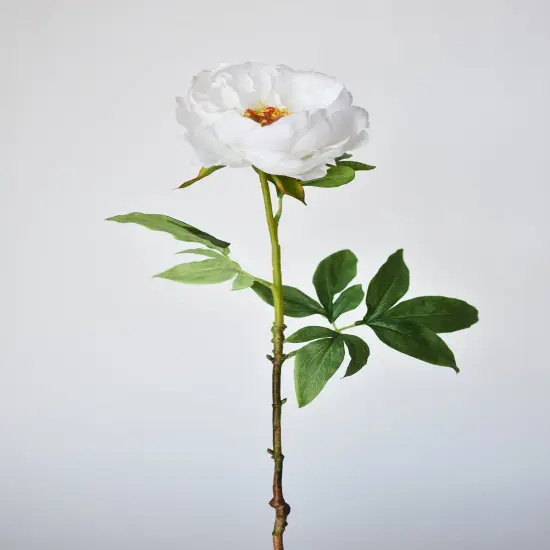 22" Faux White Peony Stem {2}