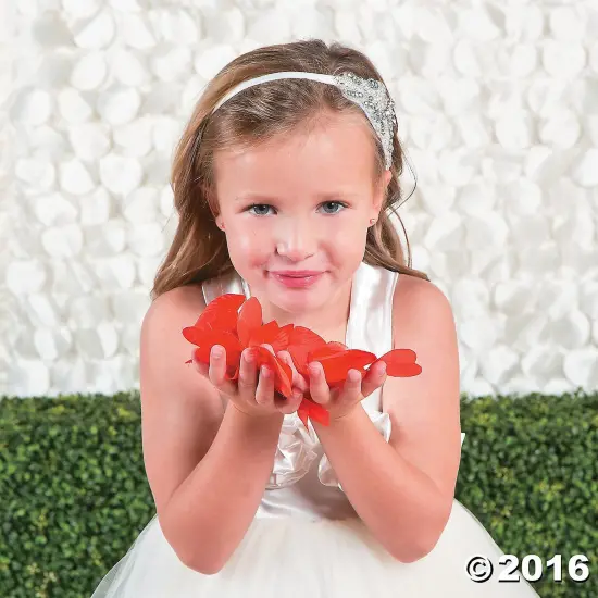 Fun Express Valentine Heart Shaped Red Rose Petals; 200 Pcs {2}