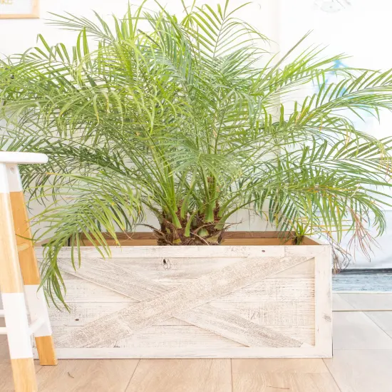 Farmhouse Deluxe 22.5 x 14.5, 30 in. Diameter, Decorative Planter Box Collar White {5}