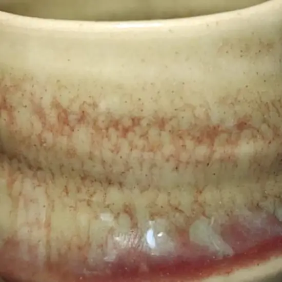 Penguin Pottery - Specialty Series - Chun Red - Mid Fire Glaze, High Fire Glaze, Cone 5-6 for Mid Fire Clay, High Fire Clay - Ceramic Glaze Pottery (1 Pint | 16 oz | 473 ml) {1}