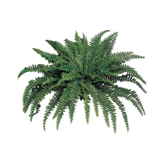 2-Pack: Boston Fern Plant with 88 Silk Fronds, 48" Wide, Floral Home by Artificial Flowers {1}