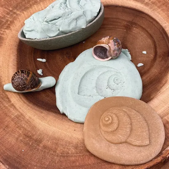 Yellow Door Let's Investigate - Nature - Set of 8 Stones {7}