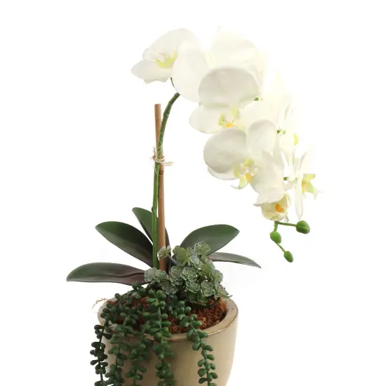 12-Pack: Real Touch White Phalaenopsis Orchid Stem, Floral Home by Artificial Flowers {3}