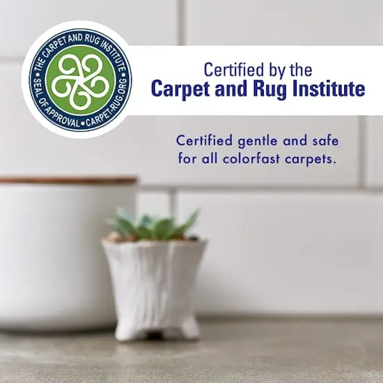 Rocco & Roxie&reg;- Stain & Odor Eliminator for Strong Odor, 32oz Enzyme Pet Odor Eliminator for Home {6}