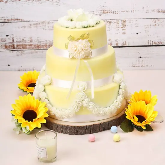 12" Natural Round Poplar Wooden Slice {3}