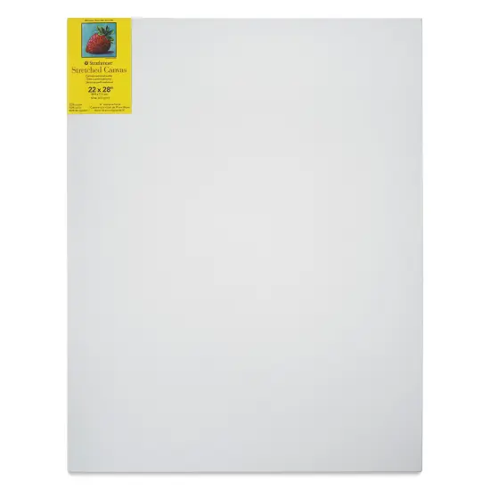 Strathmore 300 Series Stretched Cotton Canvas - 3/4" Profile, 22" x 28" {1}