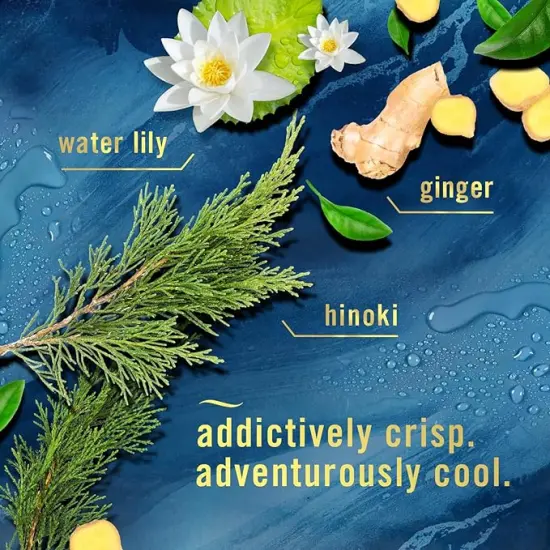 Febreze&reg; - Plug in Air Fresheners for home, Air Freshener Plug In, Wall Diffuser, Ocean Scent, Odor Fighter for Strong Odors, 1 Warmer + 2 Oil Refills {6}