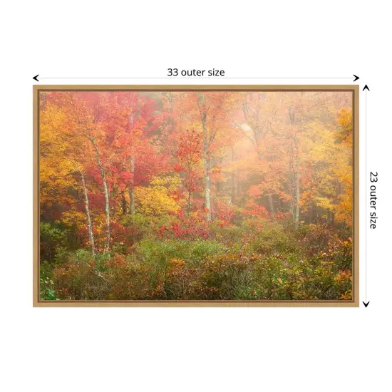 Soft Fall Forest Pallet by Patrick Zephyr Canvas Art Framed {3}