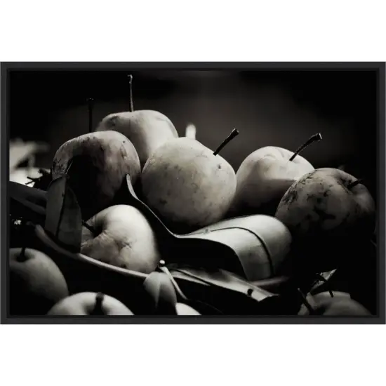 Harvest Fruit by Alex Caminker Canvas Art Framed {1}