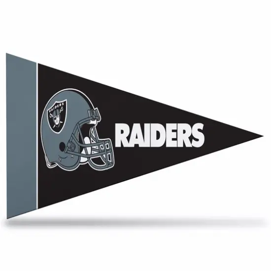 Officially Licensed 8 Pack Raiders Mini Pennants, 4" x 9" {1}