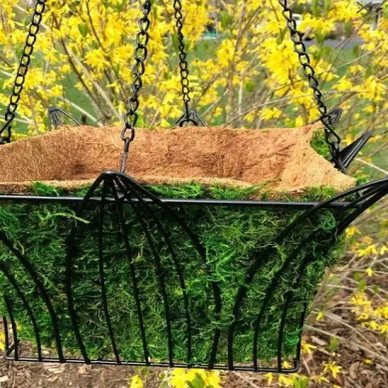 14" Metal and Coco Moss Hanging Basket - SQUARE {3}
