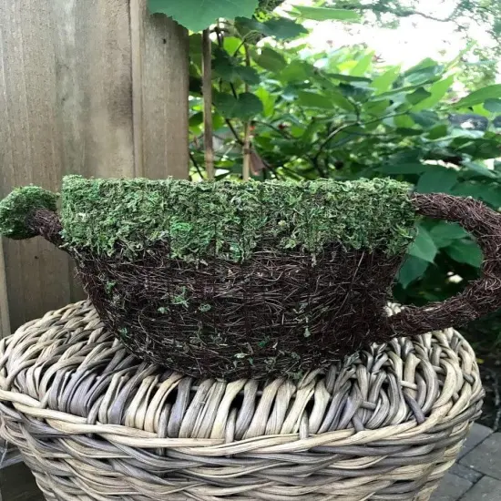 Watering Can PLANTER - Natural MOSS & Wicker {2}
