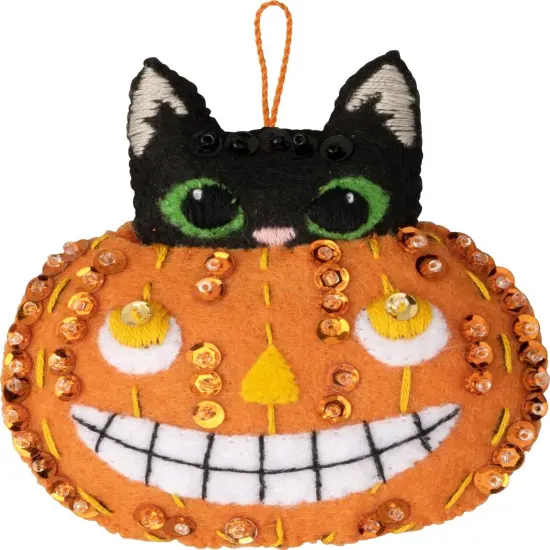 Bucilla Felt Ornaments Applique Kit Set Of 6-Purrfectly Spooky {5}