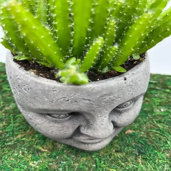 Whimsical "Face" Planter {5}