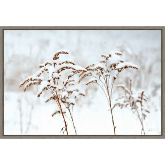 Snowy Gardens by Sue Schlabach Canvas Art Framed {1}